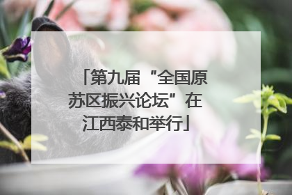 第九届“全国原苏区振兴论坛”在江西泰和举行