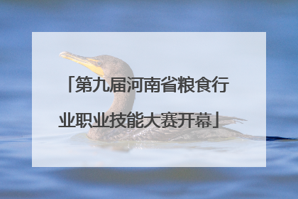 第九届河南省粮食行业职业技能大赛开幕