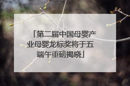 第二届中国母婴产业母婴龙标奖将于五端午重磅揭晓
