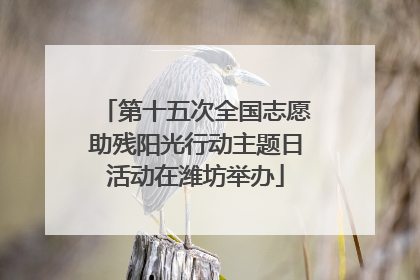 第十五次全国志愿助残阳光行动主题日活动在潍坊举办