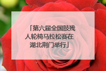 第六届全国肢残人轮椅马拉松赛在湖北荆门举行