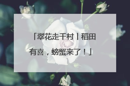 翠花走千村丨稻田有喜，螃蟹来了！