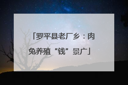 罗平县老厂乡：肉兔养殖“钱”景广
