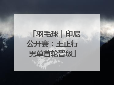 羽毛球｜印尼公开赛：王正行男单首轮晋级