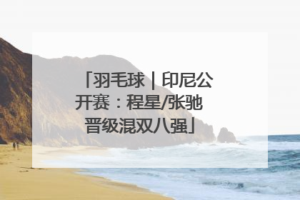 羽毛球｜印尼公开赛：程星/张驰晋级混双八强