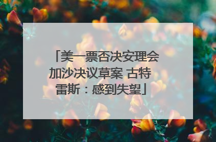美一票否决安理会加沙决议草案 古特雷斯：感到失望
