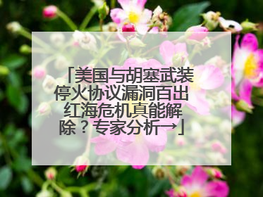 美国与胡塞武装停火协议漏洞百出 红海危机真能解除？专家分析→
