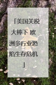 美国关税大棒下 欧洲多行业恐陷生存危机