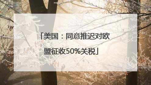 美国：同意推迟对欧盟征收50%关税
