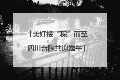 美好接“粽”而至 四川台胞共迎端午
