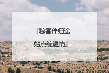 粽香伴归途 站点绽温情