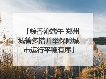 粽香沁端午 郑州城管多措并举保障城市运行平稳有序