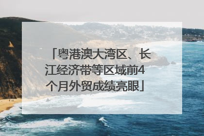 粤港澳大湾区、长江经济带等区域前4个月外贸成绩亮眼
