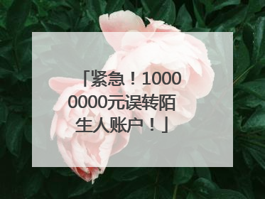 紧急！10000000元误转陌生人账户！