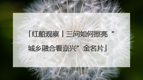 红船观察丨三问如何擦亮“城乡融合看嘉兴”金名片