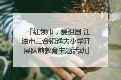 红领巾，爱祖国 江油市三合镇逸夫小学开展队前教育主题活动