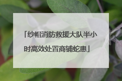 纱帽消防救援大队半小时高效处置商铺蛇患