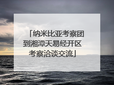 纳米比亚考察团到湘潭天易经开区考察洽谈交流