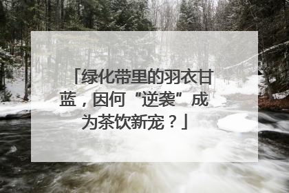 绿化带里的羽衣甘蓝，因何“逆袭”成为茶饮新宠？