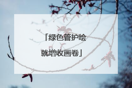 绿色管护绘就增收画卷
