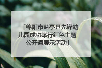 绵阳市盐亭县先锋幼儿园成功举行红色主题公开课展示活动