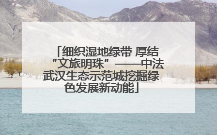 细织湿地绿带 厚结“文旅明珠”——中法武汉生态示范城挖掘绿色发展新动能