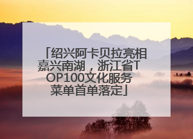绍兴阿卡贝拉亮相嘉兴南湖，浙江省TOP100文化服务菜单首单落定
