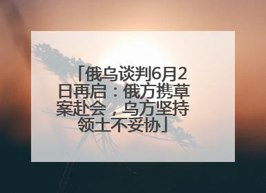 俄乌谈判6月2日再启：俄方携草案赴会，乌方坚持领土不妥协