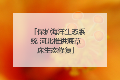 保护海洋生态系统 河北推进海草床生态修复