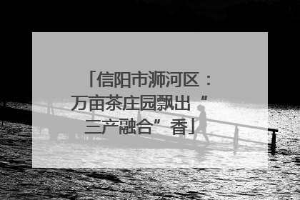 信阳市浉河区：万亩茶庄园飘出“三产融合”香
