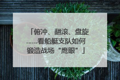 俯冲、翻滚、盘旋……看船艇支队如何锻造战场“鹰眼”