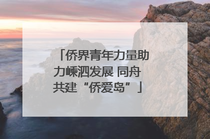 侨界青年力量助力嵊泗发展 同舟共建“侨爱岛”