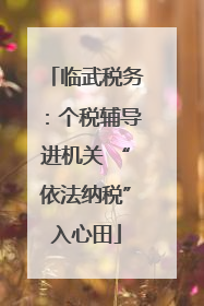 临武税务：个税辅导进机关 “依法纳税”入心田