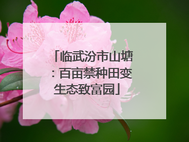 临武汾市山塘：百亩禁种田变生态致富园