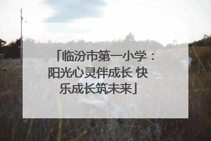 临汾市第一小学：阳光心灵伴成长 快乐成长筑未来
