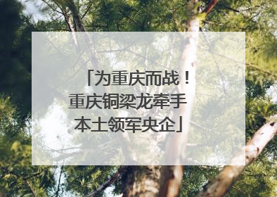 为重庆而战！重庆铜梁龙牵手本土领军央企