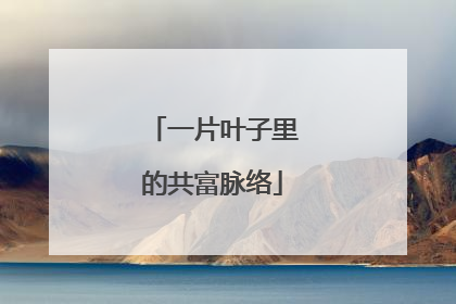 一片叶子里的共富脉络
