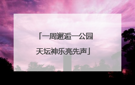 一周邂逅一公园 天坛神乐亮先声