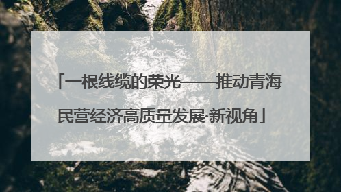 一根线缆的荣光——推动青海民营经济高质量发展·新视角