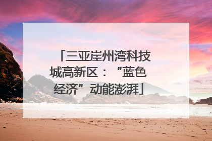 三亚崖州湾科技城高新区：“蓝色经济”动能澎湃