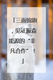 三面锦旗，见证振森能源的“非凡合作”！