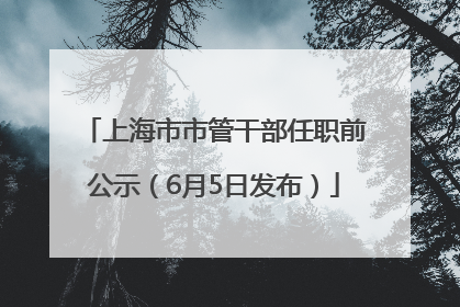 上海市市管干部任职前公示（6月5日发布）
