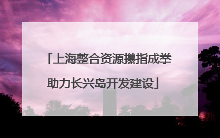 上海整合资源攥指成拳助力长兴岛开发建设