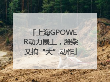 上海GPOWER动力展上，潍柴又搞“大”动作
