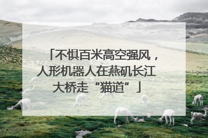 不惧百米高空强风，人形机器人在燕矶长江大桥走“猫道”