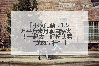 不收门票，1.5万平方米月季园爆火！一起去三好桥头看“龙凤呈祥”