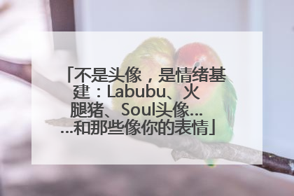 不是头像，是情绪基建：Labubu、火腿猪、Soul头像……和那些像你的表情