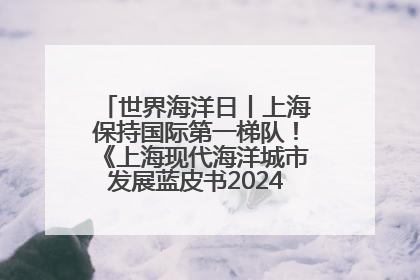世界海洋日丨上海保持国际第一梯队！《上海现代海洋城市发展蓝皮书2024评估报告》发布