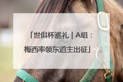 世俱杯巡礼｜A组：梅西率领东道主出征