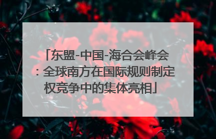 东盟-中国-海合会峰会：全球南方在国际规则制定权竞争中的集体亮相